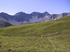 Lecksuche in hochalpinem Gelände